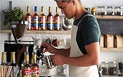 Holiday Syrup Flavors - Gingerbread, Pumpkin