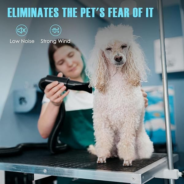 XAPIGO DOG DRYER,HIGH VELOCITY PROFESSIONAL DOG GROOMING DRYER,ADJUSTABLE TEMPERATURE AND SPEED WITH 4 DIFFERENT NOZZLES