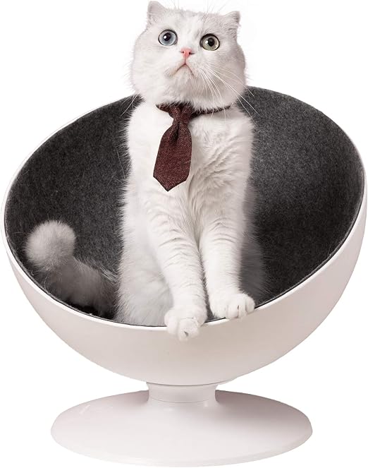 cat chair bed