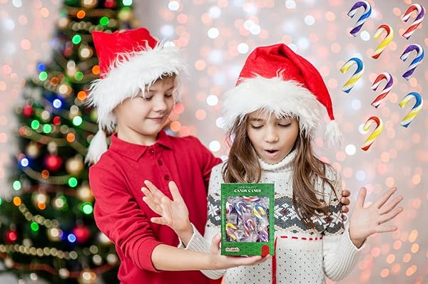 FRUIDLES CHRISTMAS CANDY CANES MINI’S SUCKERS, MULTICOLORED FRUITY FLAVOR, INDIVIDUALLY WRAPPED, 2″ INCH, NET WT 4.42OZ (125G) (100-PACK)