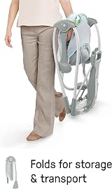 Ingenuity Swing 'n Go 5-Speed Portable Baby Swing 0-9 Months Hugs & Hoots view 6