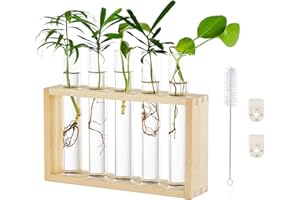 Wall Hanging Glass Planter Propagation Station Modern Wall Mounted 5 Test Tube Flower Bud Vase in Wood Stand Rack Tabletop Te