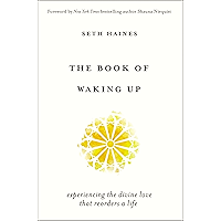 The Book of Waking Up: Experiencing the Divine Love That Reorders a Life book cover