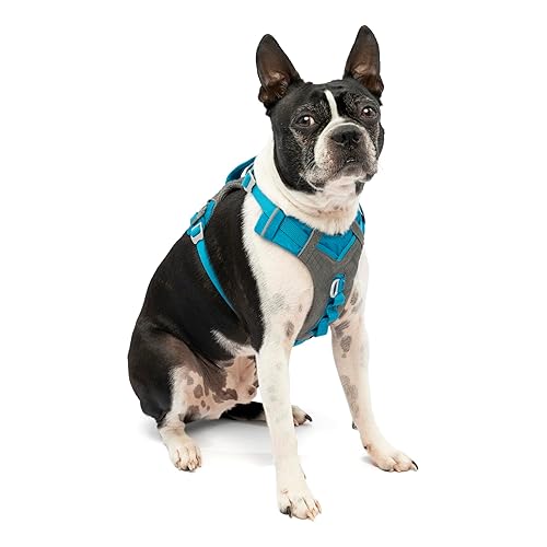 Kurgo Dog Harness for Large, Medium, Small Active Dogs, Pet