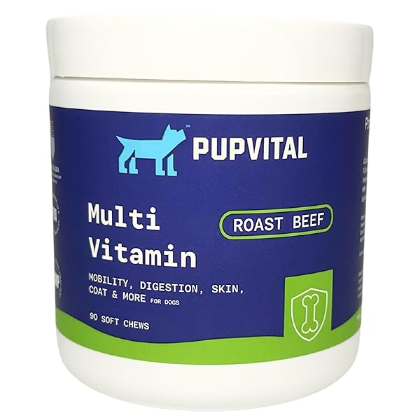 PUPVITAL MULTIVITAMIN TREATS FOR DOGS – GLUCOSAMINE FOR JOINT SUPPORT + SALMON OIL FOR SKIN & COAT HEALTH + IMMUNE HEALTH – ROAST BEEF FLAVOR – 90CT