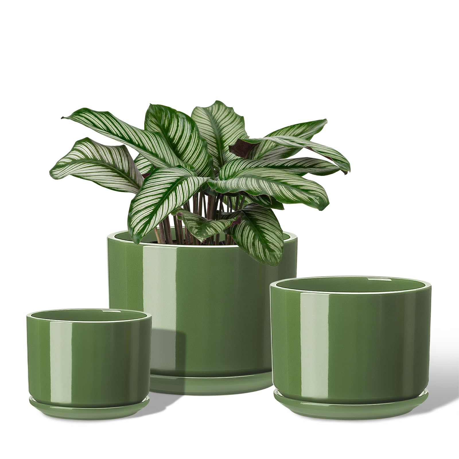 Photo 1 of EFISPSS Ceramic Plant Pots, 4+5+6 Inch Pots for Indoor Plants, Planter Pot with Drainage Hole,Flower Pots for Succulent Cactus,Set of 3 - Patina