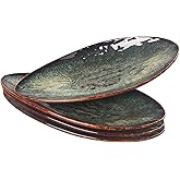 jinsongdafa Ceramic Dinner Plates Set of 4, for Bread, Pasta, Salad, sushi - Microwave, Oven and Dishwasher Safe, Scratch Resistant durable Black reactive glaze