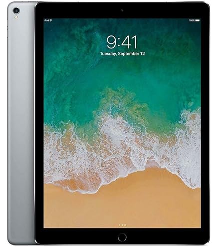 Apple iPad Pro 12.9インチ 256 Cellular Amazon.com : Apple iPad Pro 12.9in Tablet (256GB Wi-Fi + 4G