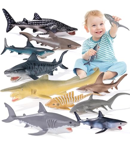 Amazon.com: MGA Entertainment Shreddin' Sharks Tsunami Showdown