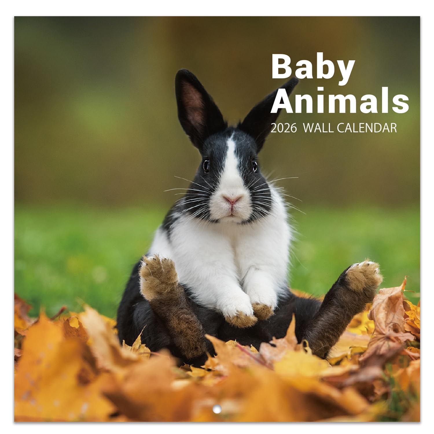 Photo 1 of 2026 Calendar - 2026 Wall Calendar, 12" x 24"(Open), 12 Month Baby Animal Calendar 2026, JAN - DEC 2026 Calendars with Thick Paper, Wall Calendar 2026 for Organizing & Planning, Animal Design