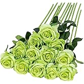 Hawesome 12PCS Artificial Silk Flowers Realistic Roses Bouquet Long Stem for Home Wedding Decoration Party (Green)