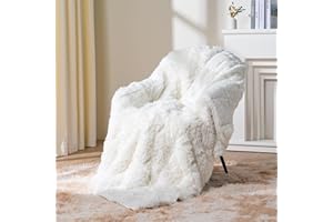 Topblan Weighted Blanket Adult15lbs, Shaggy Fuzzy Faux Fur Weighted Throw with Warm Cozy Sherpa Fleece to Help with Better Sleep, 48x72 inches Cream
