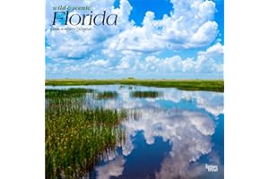 Florida Wild & Scenic | 2026 12 x 24 Inch (Hanging) Monthly Square Wall Calendar | Plastic-Free | BrownTrout | USA United Sta