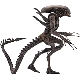 NECA Aliens - 7" Scale Action Figure - Series 14 - Alien Resurrection Warrior