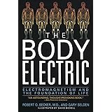 The Body Electric: Electromagnetism And The Foundation Of Life