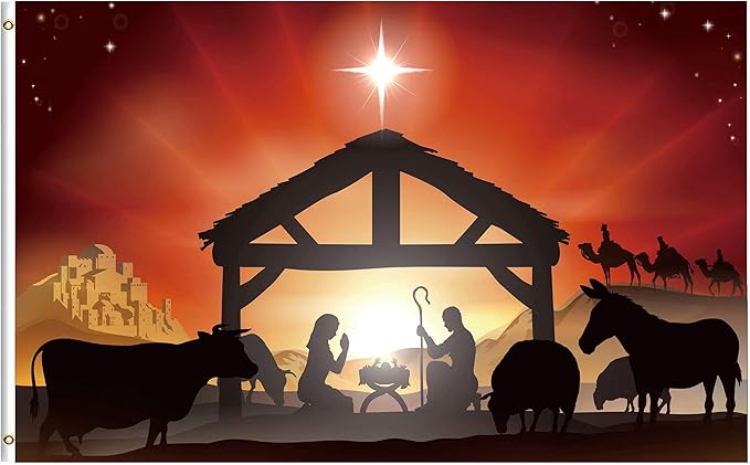 Christmas story cartoon movie tongue stuck pole still why 35th anniversary reasons tongued copycats cold inspired classic Amazon.com : ShineSnow Traditional Winter Christmas Scene Story 5x8 Feet Flag, Polyester Double