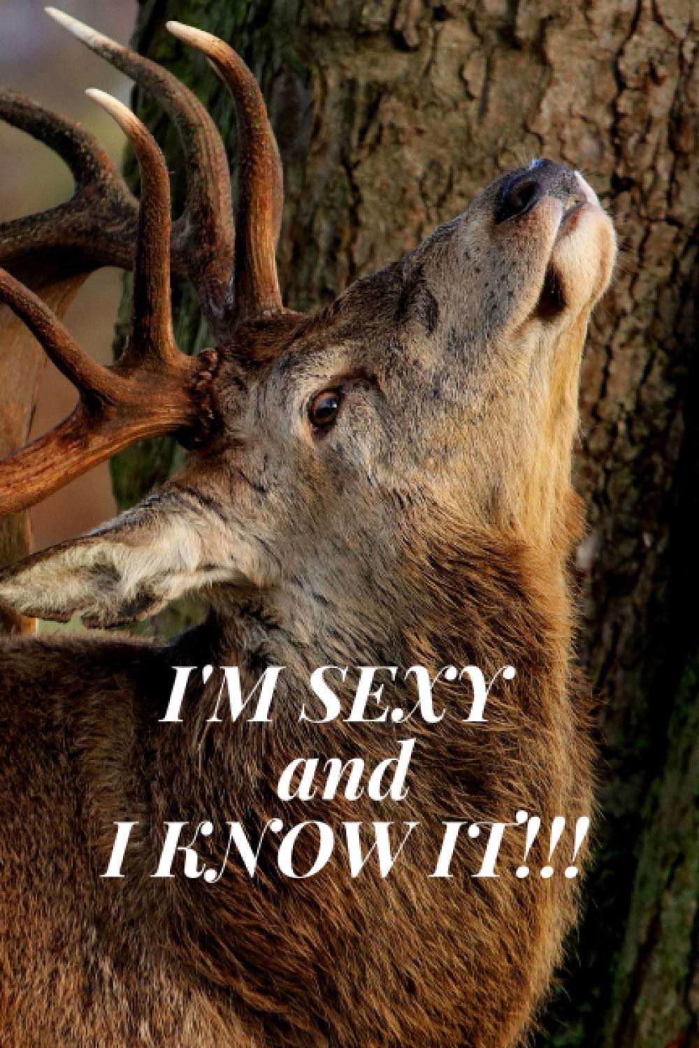 I'M SEXY and I KNOW IT