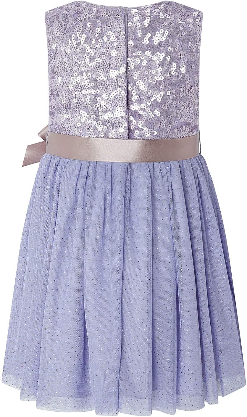 lavender sparkle dress