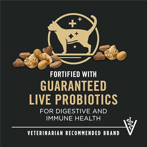 PURINA PRO PLAN HIGH PROTEIN CAT FOOD WITH PROBIOTICS FOR CATS, SALMON AND RICE FORMULA – 3.5 LB. BAG
