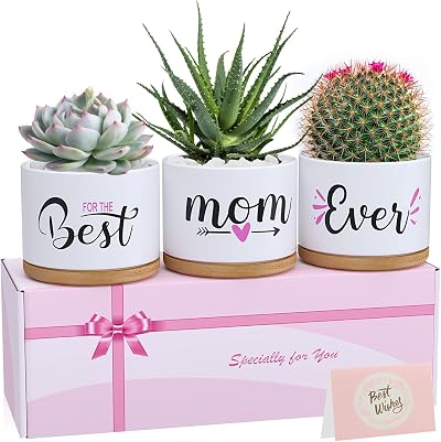 TuDou Best Mum Ever Ceramic Succulent Pot Gift Boxed