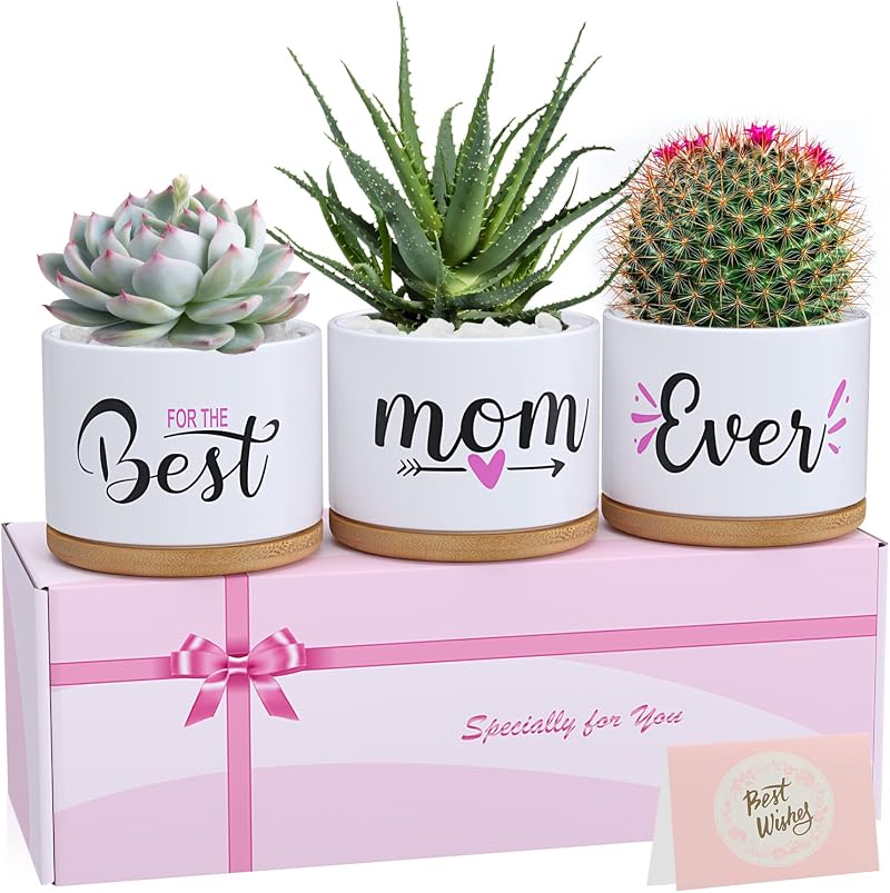 TuDou Best Mum Ever Ceramic Succulent Pot Gift Boxed