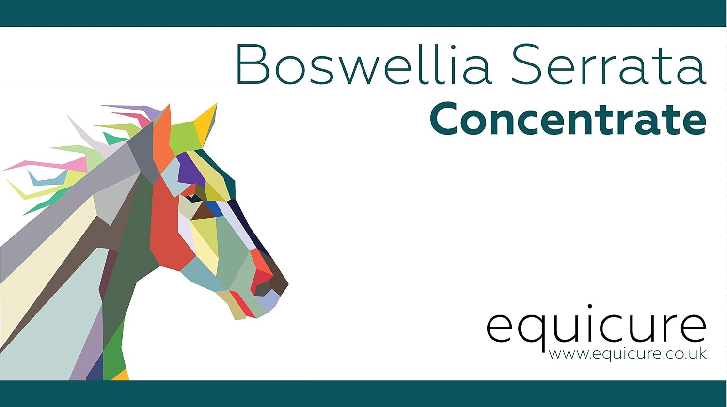 Equicure Boswellia Serrata Concentrate Powder For Horse/Pony (750g), 750 g (Pack of 1) - Image 4