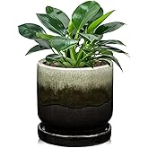 Oairse Ceramic Pot for Plants - 5.5 inch Small Planter with Drainage Hole and Saucers - Gradient Black Outdoor Indoor Flower Pot for Succulent, Cactus, Snake Plant, Herb