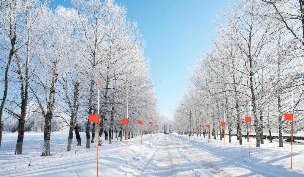 FiberMarker Driveway Markers Flags Red 4-Inchx3-Inch with 36-Inchx5/16-Inch Orange Solid Driveway Poles (12pack)