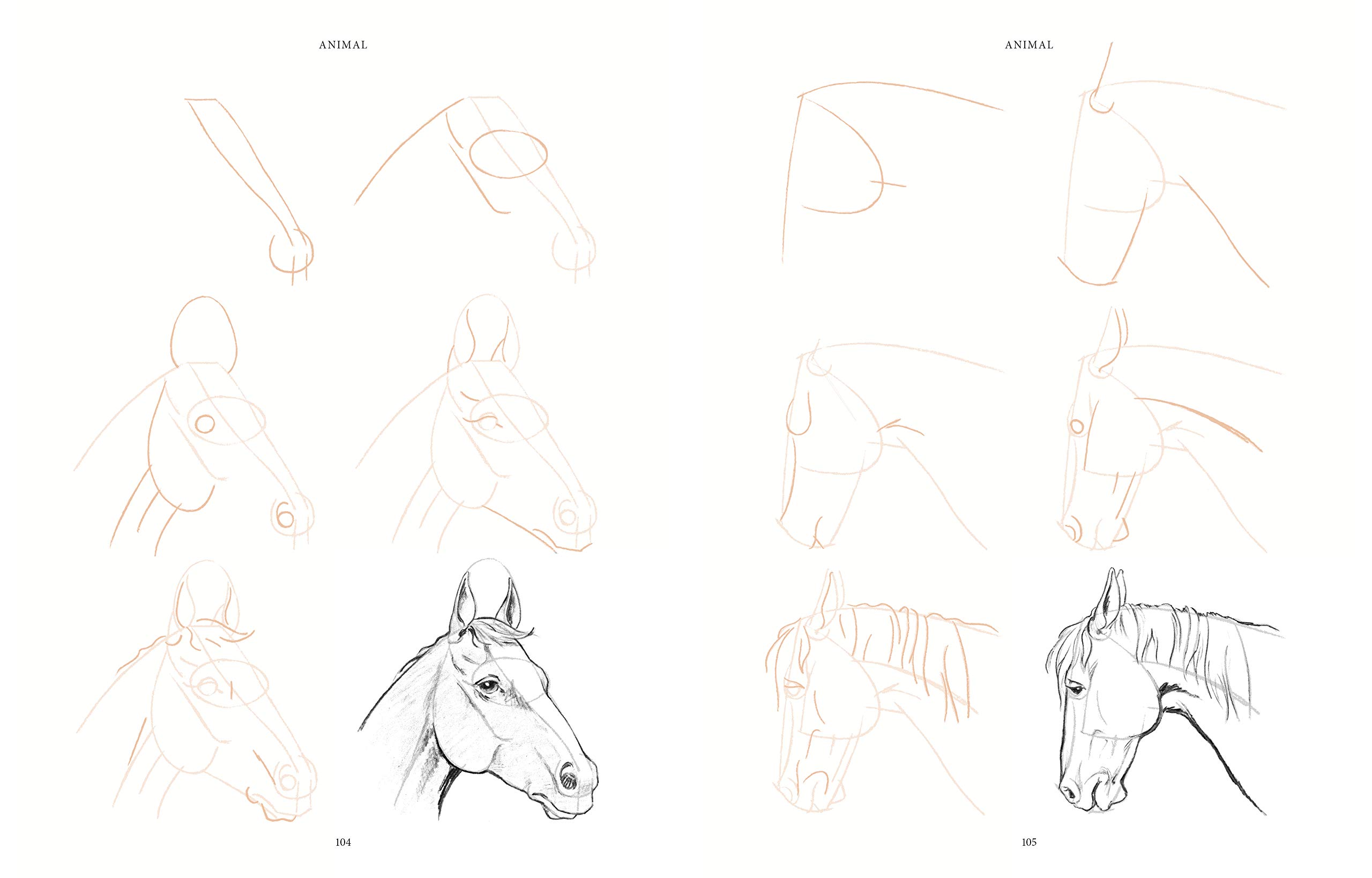 Draw 200 Animals: The Step-by-Step Way to Draw Horses, Cats, Dogs, Birds, Fish, and Many More Creatures