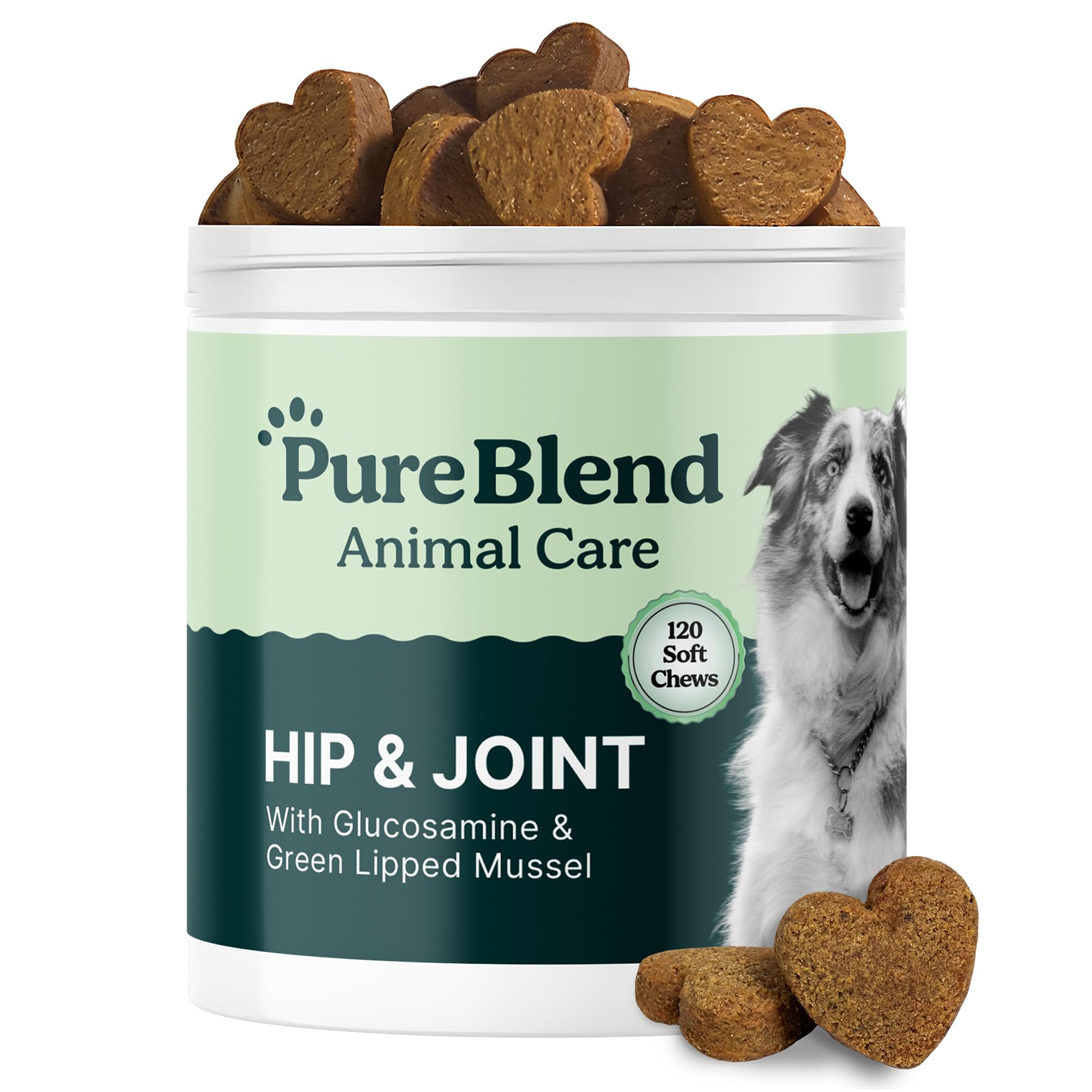 PureBlend Hip & Joint Soft Chews for Dogs — With Glucosamine, Chondroitin, Green Lipped Mussel & MSM — Dog Joint Supplement — 120 Chews, Up to 4 Month Supply