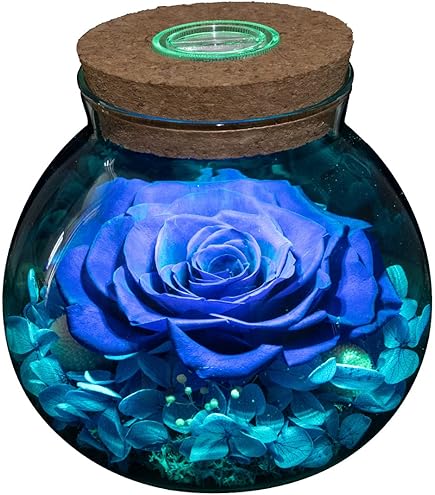ASPMIZ Rosa Eterna A Levitazione Magnetica Con Luci LED - Fiore Conservato Vero In Cupola - Regalo Unico - 2