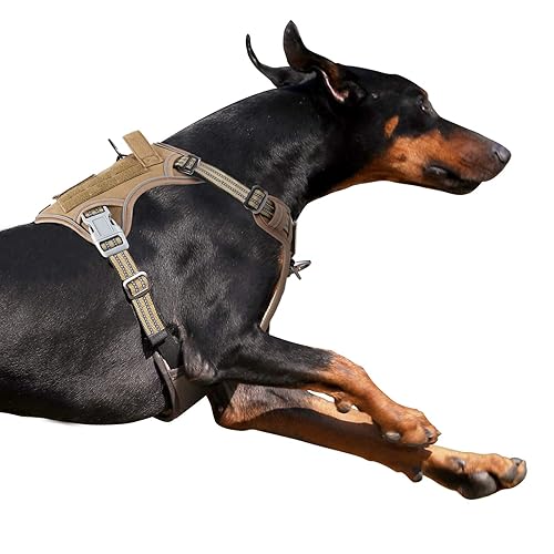 BUMBIN Tactical Dog Harness for Large Dogs No Pull, Famous TIK Tok