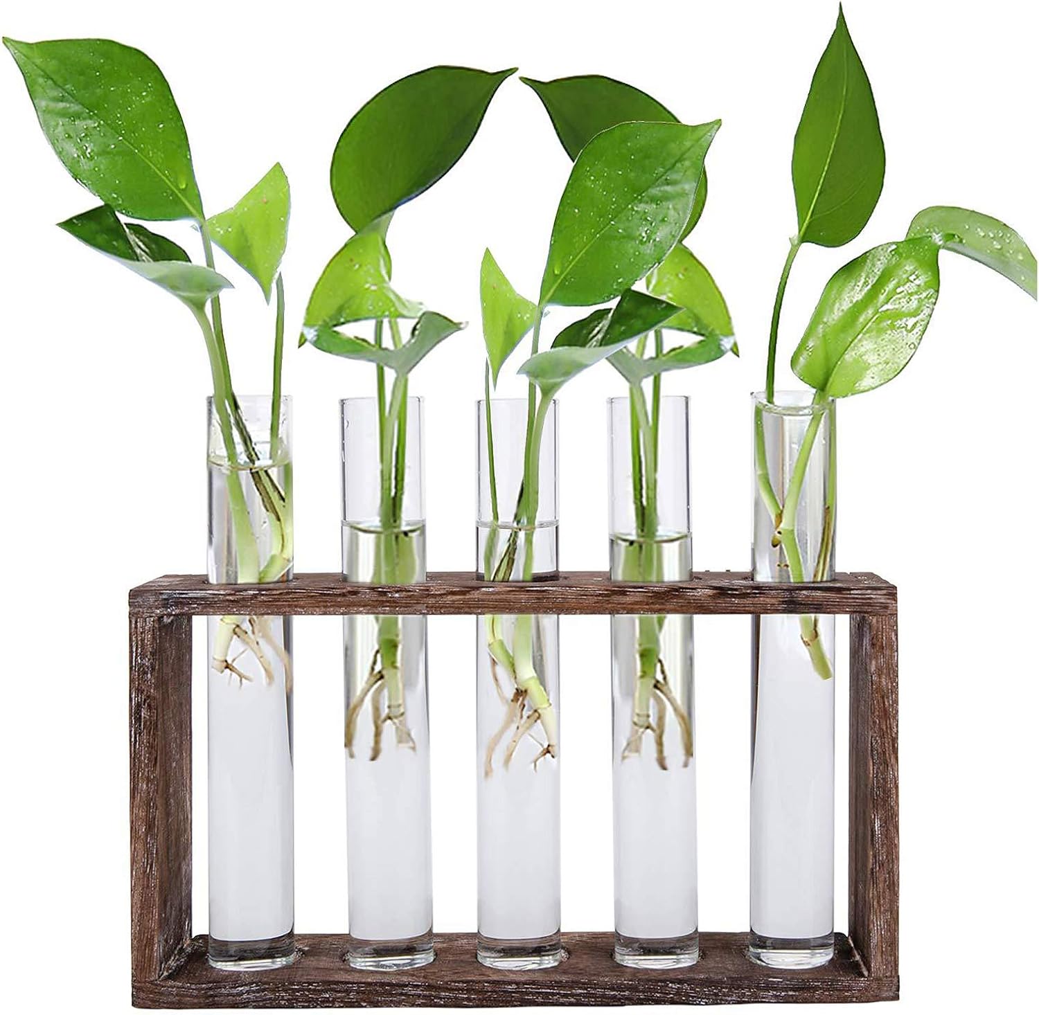 PatioMatrix Propagation Tubes Wall Mounted Hanging Planter Test Tube