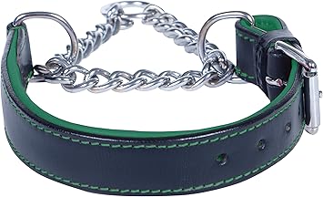 leather and chain dog collar