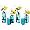 Hewory Bud Vazen voor bloemen: 6 kleine glazen vaas set - 13 cm hoge