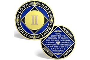 2 Year NA Medallions Recovery Chips Narcotics Anonymous Gifts Sobriety Addiction Recovery Gifts Narcotics Anonymous Coin