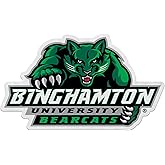 Rico Industries NCAA Binghamton Bearcats Shape Cut Pennant - Home and Living Room Décor - Soft Felt EZ to Hang