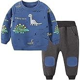 Toddler Baby Boy Clothing Sets Little Dinosaur Printed Long Sleeve Tops and Pants Kids 2pcs Outfits