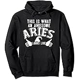 Moon Zodiac Sign Traits Astrology Aries Stars Ram Horoscope Pullover Hoodie