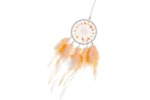 Mini Dream Catchers - Rooster Feather with Red Agate, Handmade Small Dreamcatcher for Car Bedroom Dorm Decor - HOLSM-III