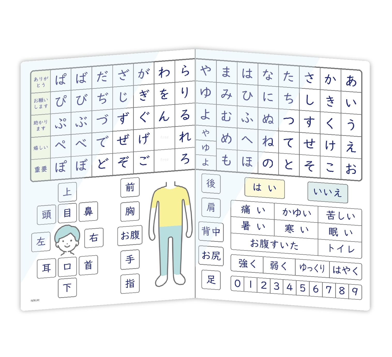 ノートライフ 言語障害 介護用50音 介護用 a3 サイズ(42×30cm) ラミネート加工 コミュニケーションシート あいうえお表 ひらがな (折りたたみ式) の商品画像