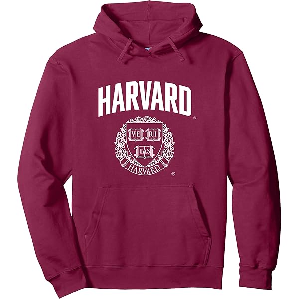 Vintage HARVARD UNIVERSITY Sudadera Suéter Big Spell Out Manga