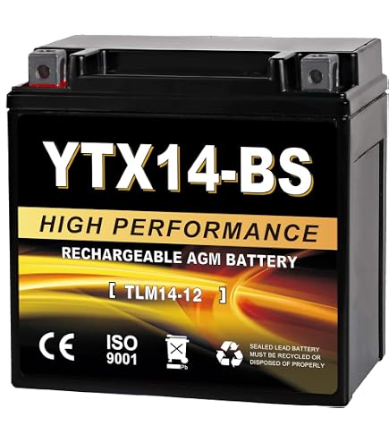 Amazon.com: Yuasa YTX14-BS Maintence Free Battery with Acid Pack
