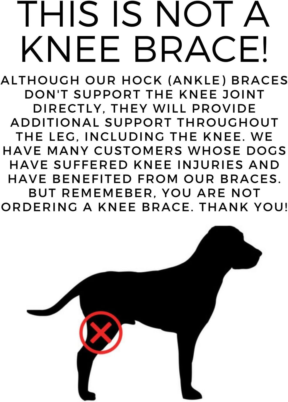 labra dog knee brace