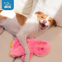 Best Pet Supplies Interactive Squeaky Dog Chew