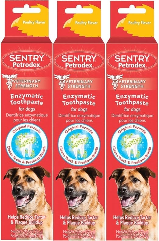 amazon dog toothpaste