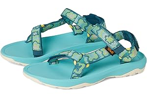 Teva Men's Tanza Sandal