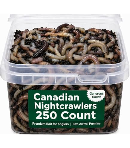 INTRUDER Good N' Lively Premixed Worm Bedding, 5-Pound Container : Pet Supplies