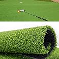 Golf Putting Green/Mat-Golf Training Mat Backyard Golf Artificial Grass Turf Indoor Outdoor Golf Training Mat, Synthetic Fake Grass for Baseball Football Gym Sports