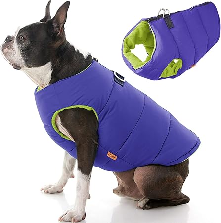 purple dog jacket